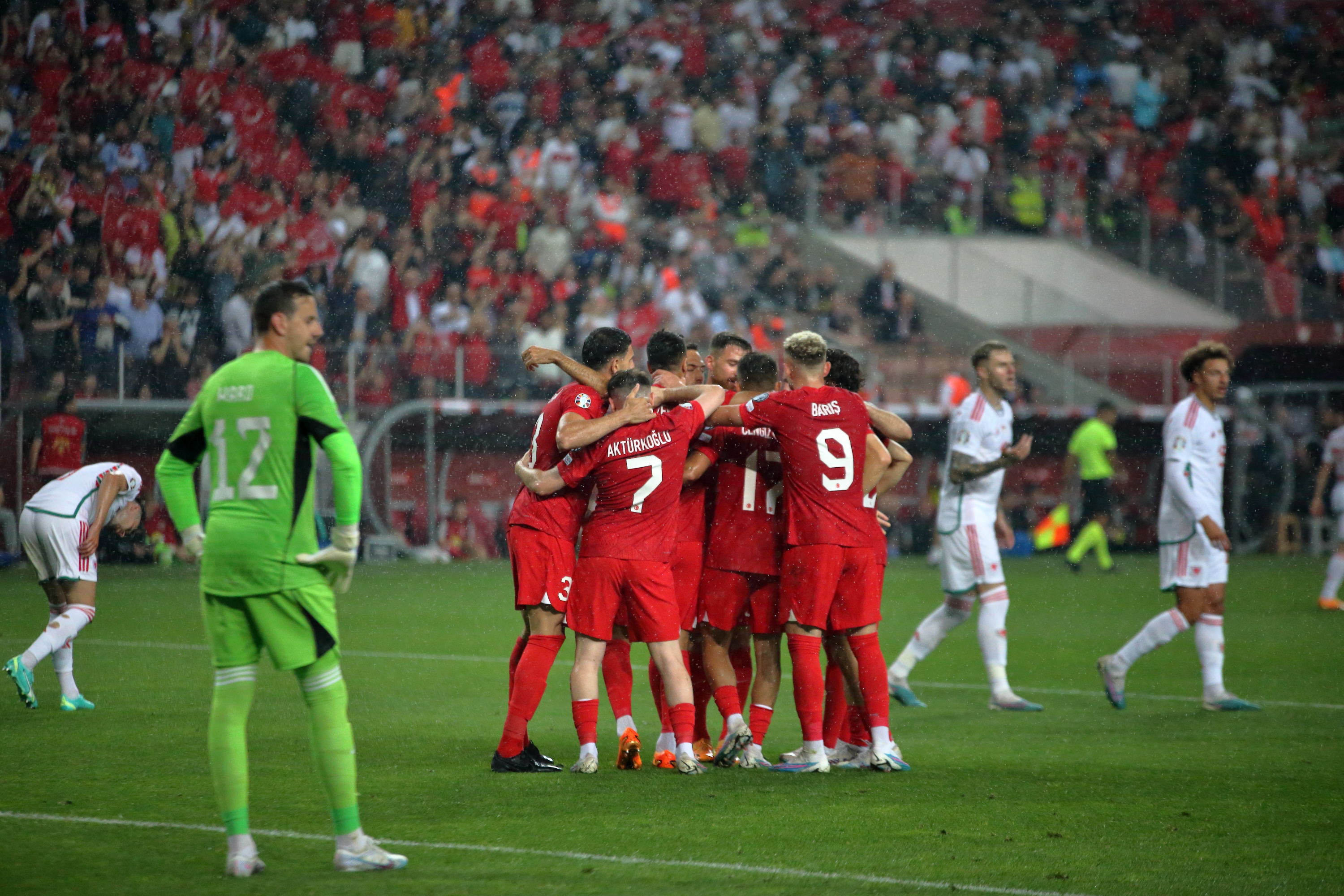 Türkiye miili takımının gol sevinci / AA